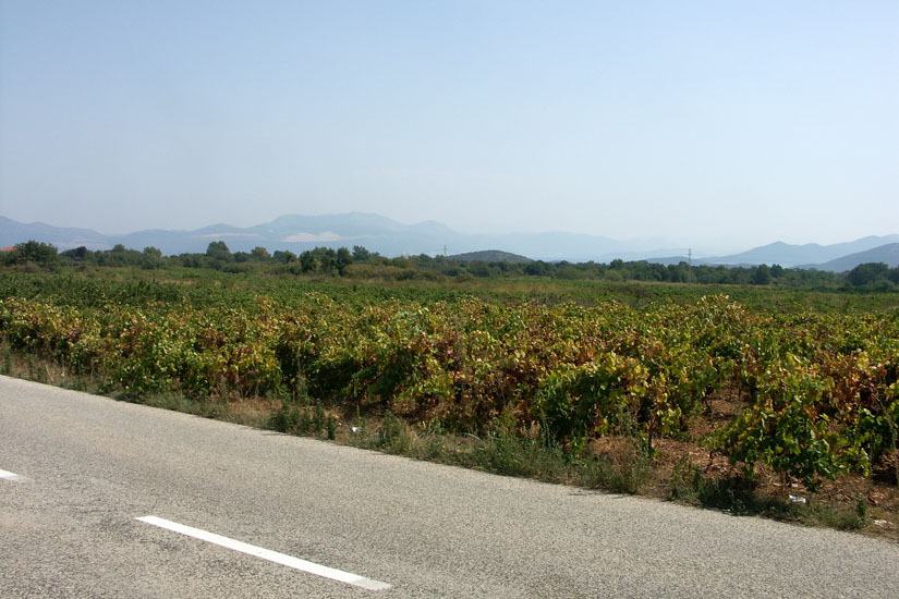 Obraz 265